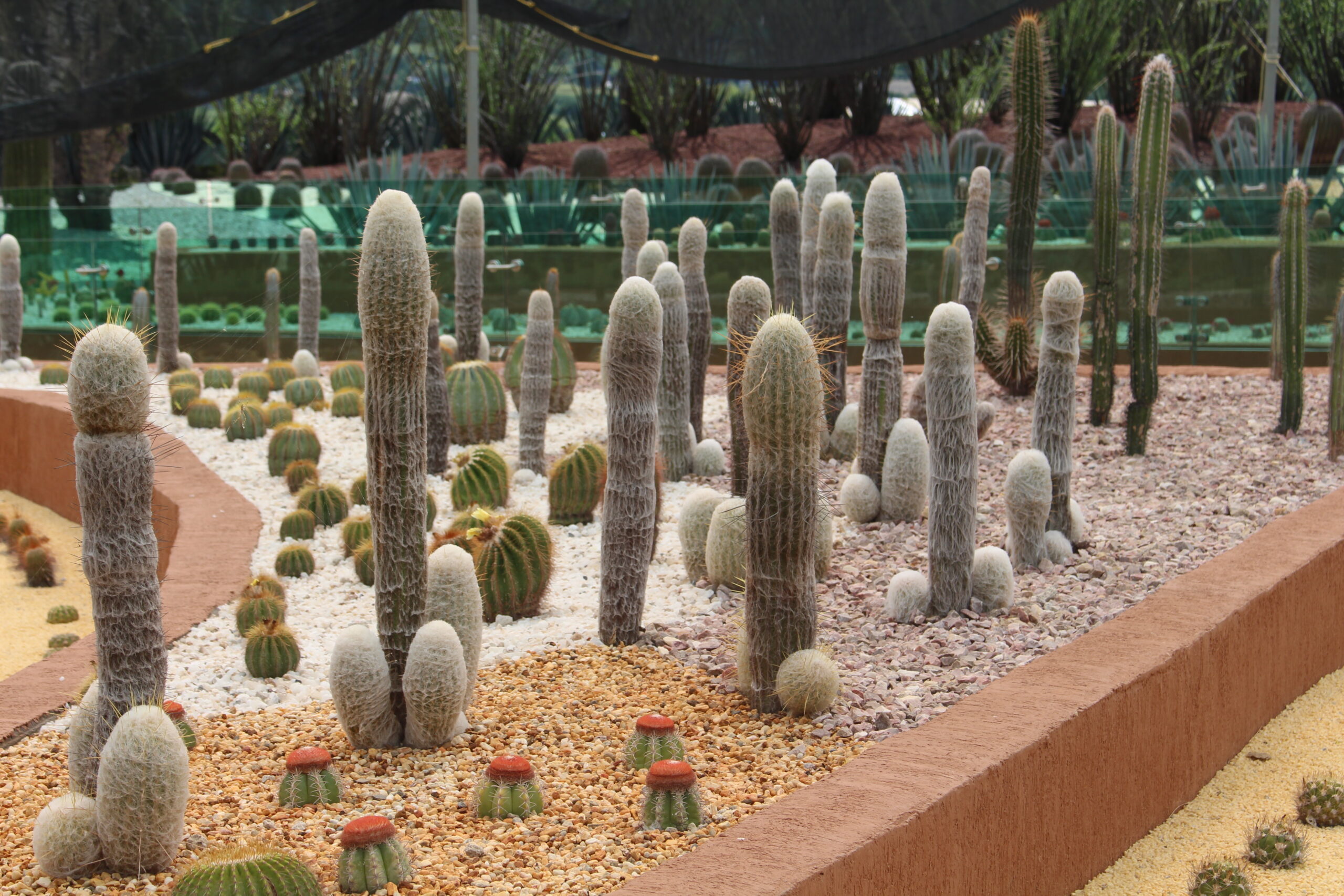 Zacatecas y Ferromex acuerdan un proyecto ambiental para el jardín Tepari