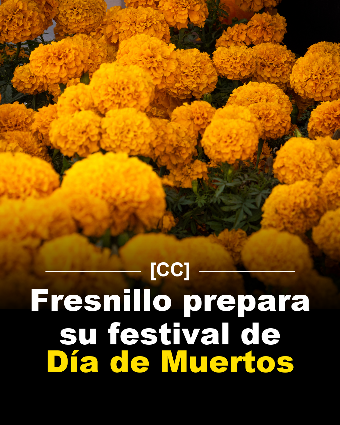 Fresnillo prepara su festival de Día de Muertos del 23 de octubre al 2 de noviembre