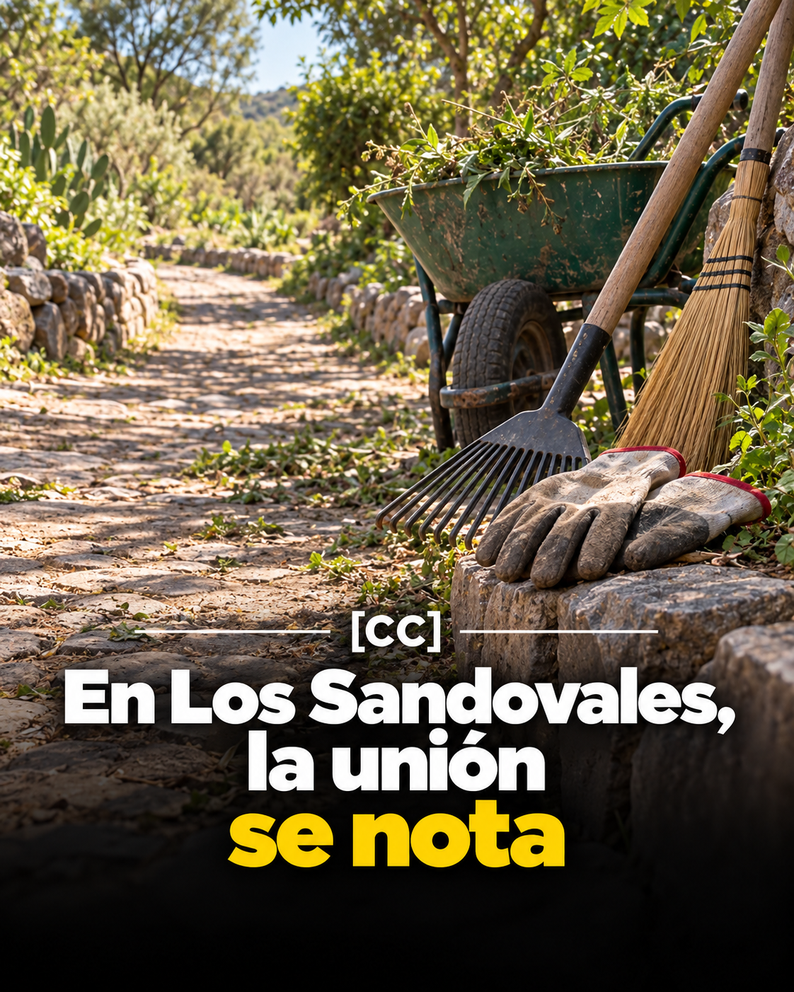 Vecinos de Los Sandovales se organizan para limpiar y cuidar su comunidad